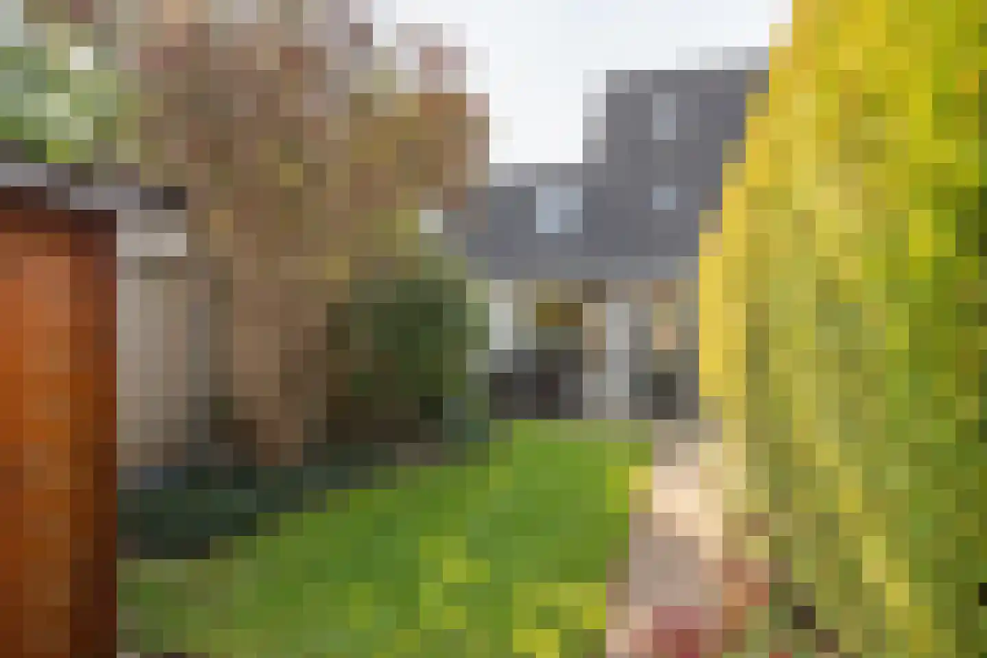 Dijkmanzoet 71 Tiel foto 3