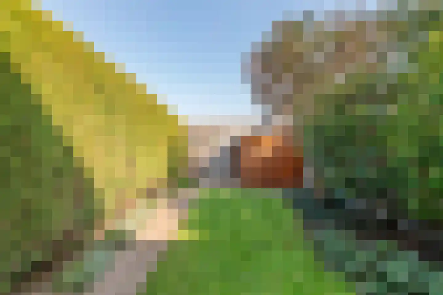 Dijkmanzoet 71 Tiel thumbnail 34