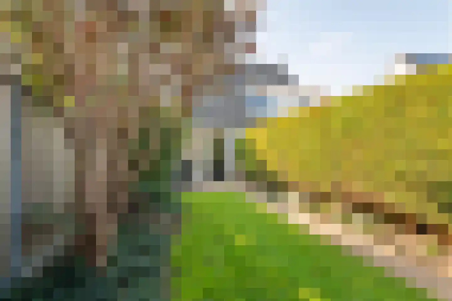 Dijkmanzoet 71 Tiel thumbnail 35