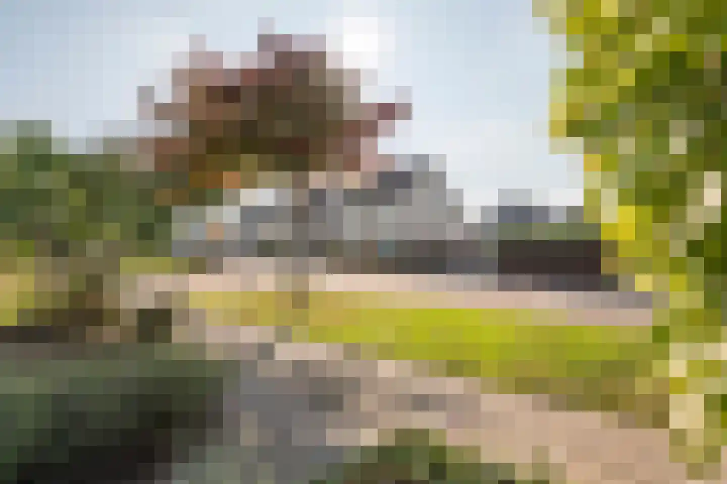 Dijkmanzoet 71 Tiel thumbnail 39