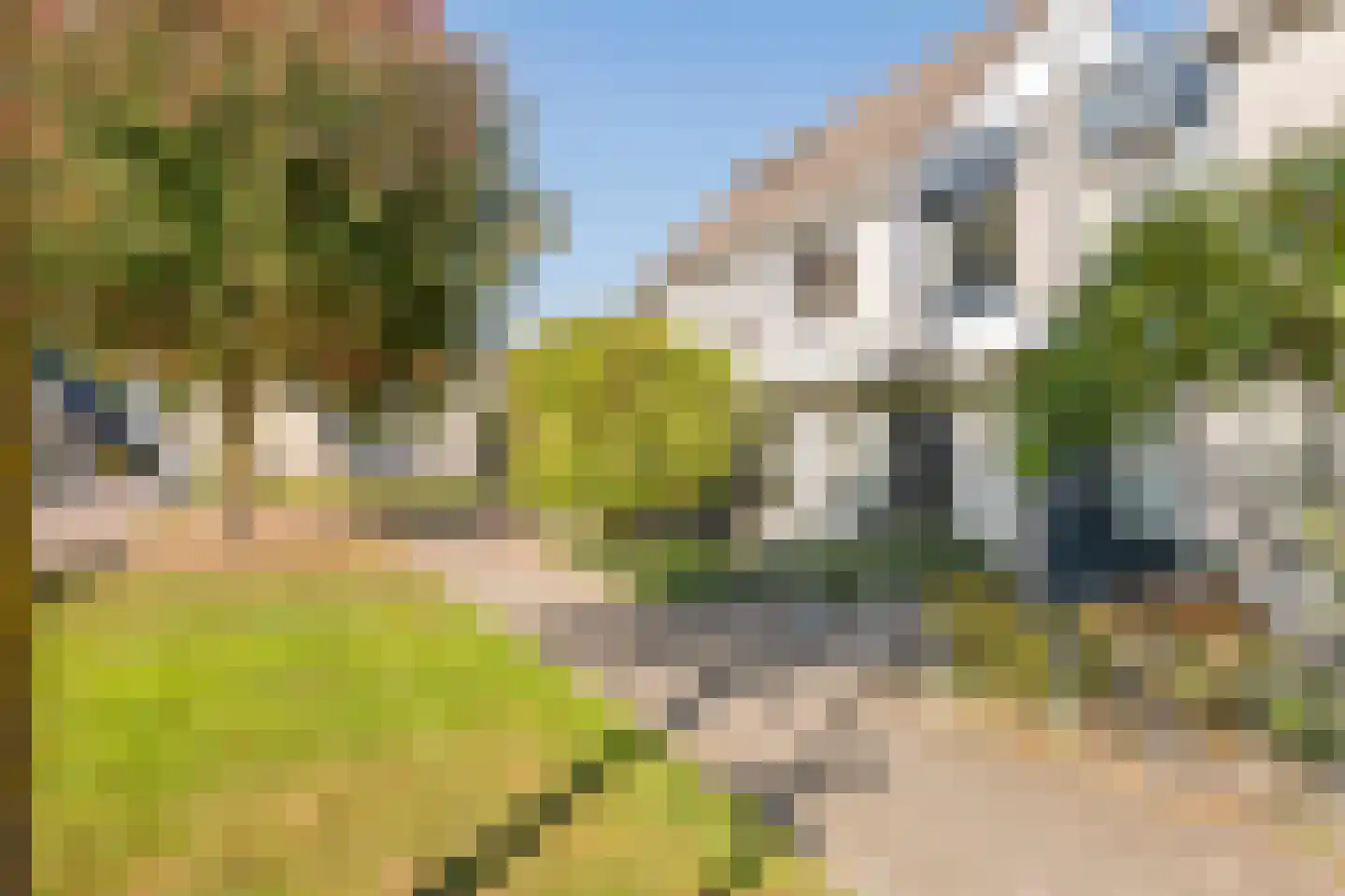 Dijkmanzoet 71 Tiel thumbnail 40