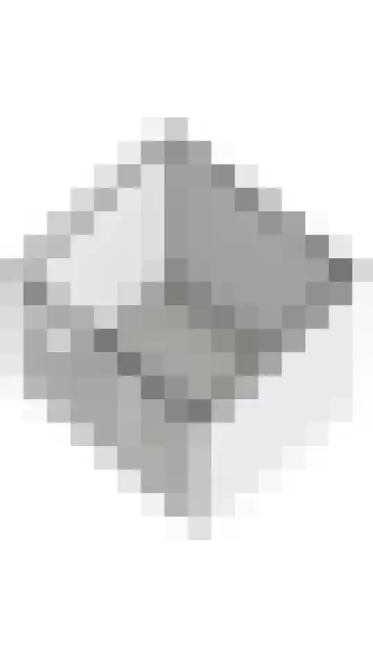 Dijkmanzoet 71 Tiel thumbnail 48