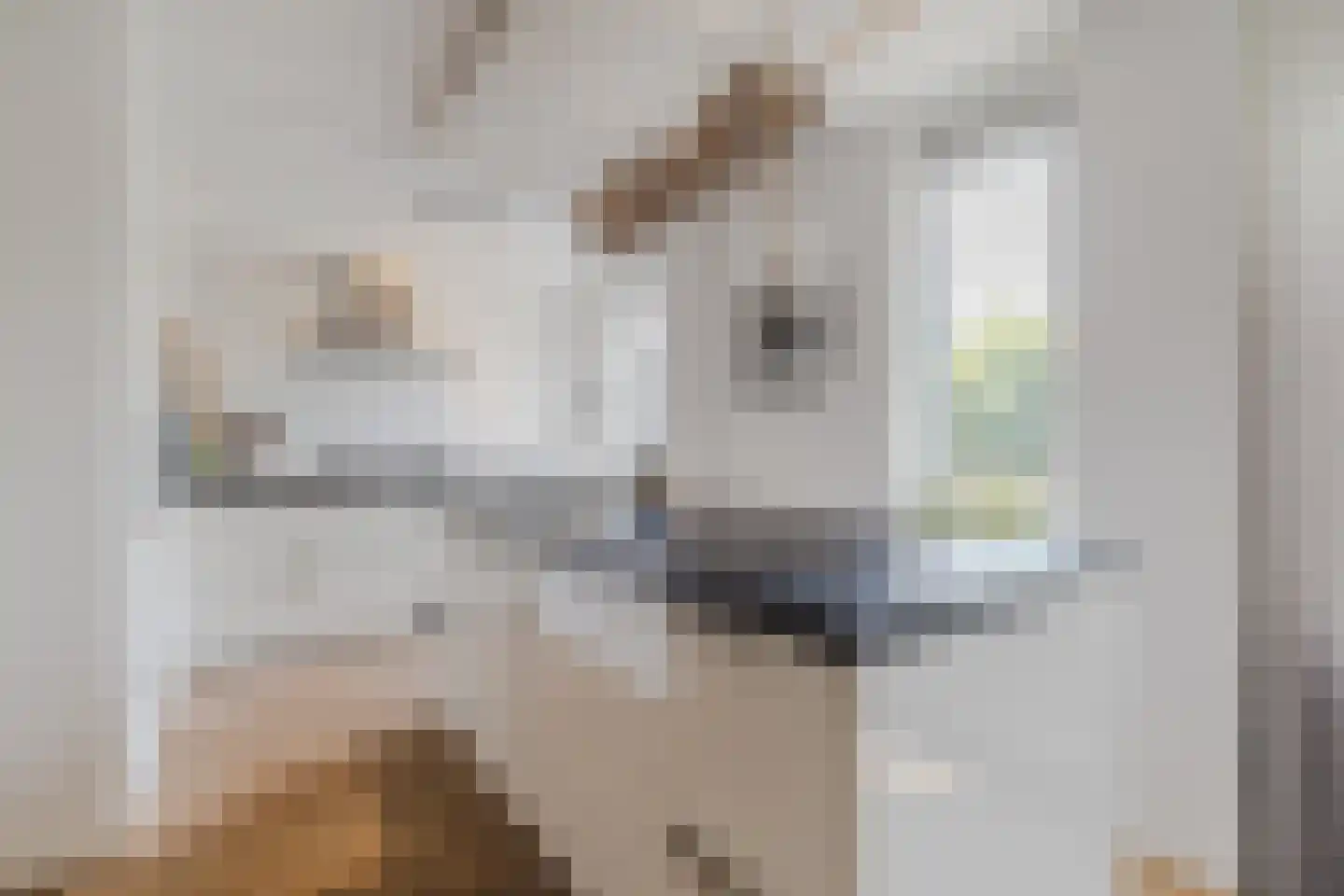 Dijkmanzoet 84 Tiel thumbnail 17