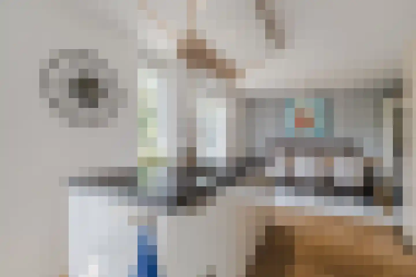 Dijkmanzoet 84 Tiel thumbnail 20