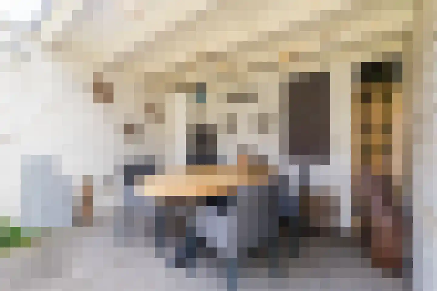 Dijkmanzoet 84 Tiel thumbnail 37