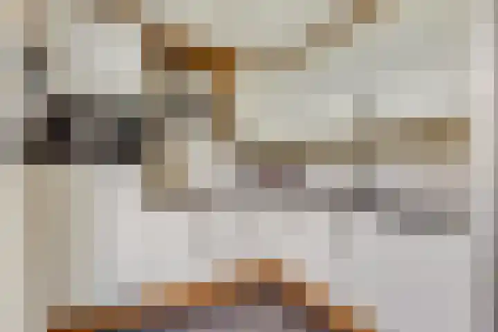 Dijkmanzoet 91 Tiel thumbnail 13