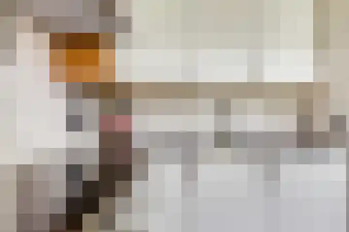 Dijkmanzoet 91 Tiel thumbnail 14