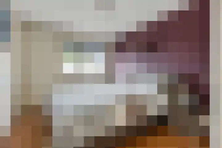 Dijkmanzoet 91 Tiel thumbnail 16