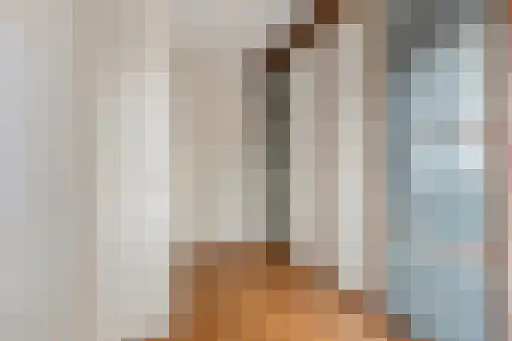 Dijkmanzoet 91 Tiel thumbnail 18