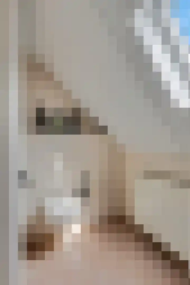 Dijkmanzoet 91 Tiel thumbnail 22