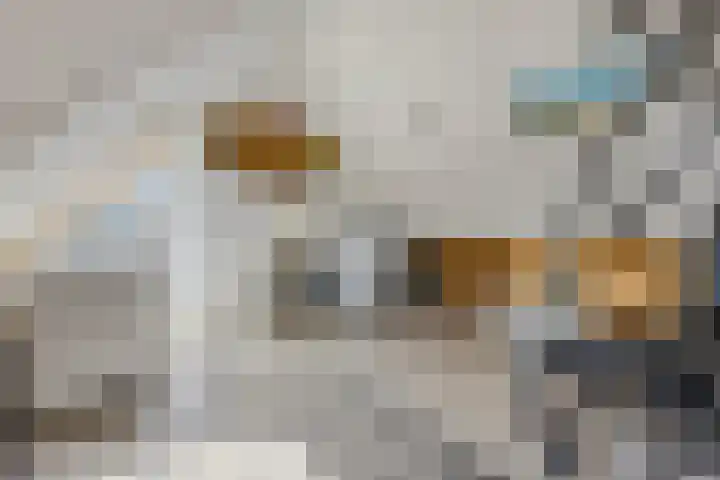 Dijkmanzoet 91 Tiel thumbnail 23