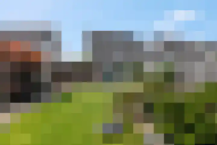 Dijkmanzoet 91 Tiel thumbnail 24