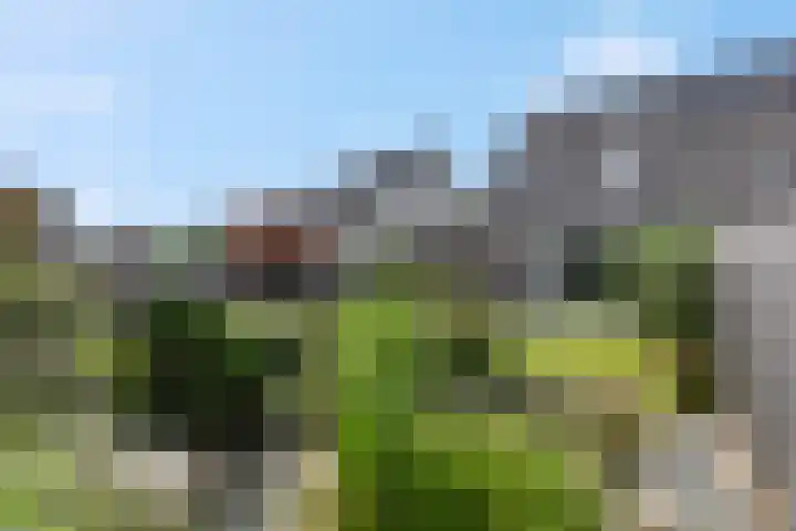 Dijkmanzoet 91 Tiel thumbnail 26
