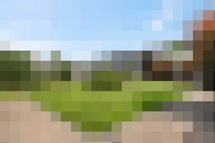 Dijkmanzoet 91 Tiel thumbnail 27