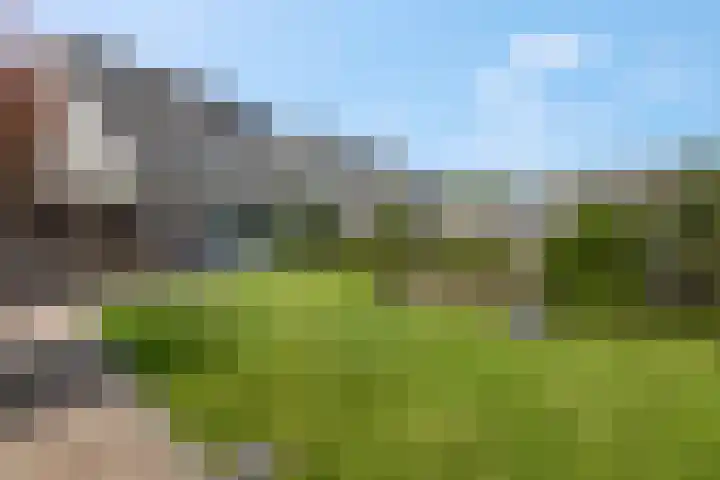 Dijkmanzoet 91 Tiel foto 3