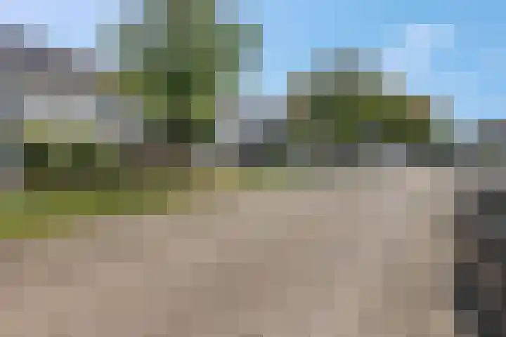 Dijkmanzoet 91 Tiel thumbnail 30