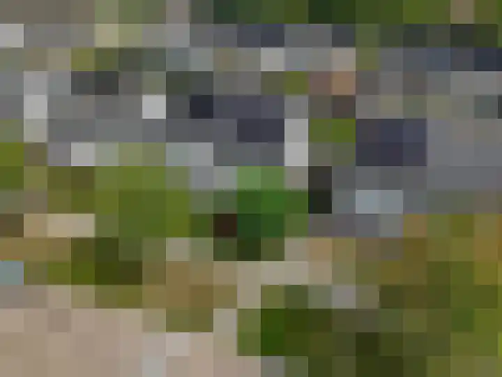 Dijkmanzoet 91 Tiel thumbnail 32
