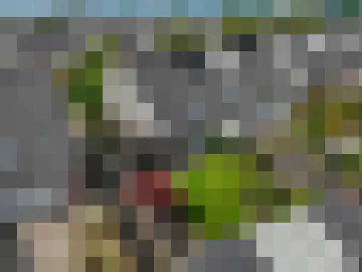 Dijkmanzoet 91 Tiel thumbnail 33