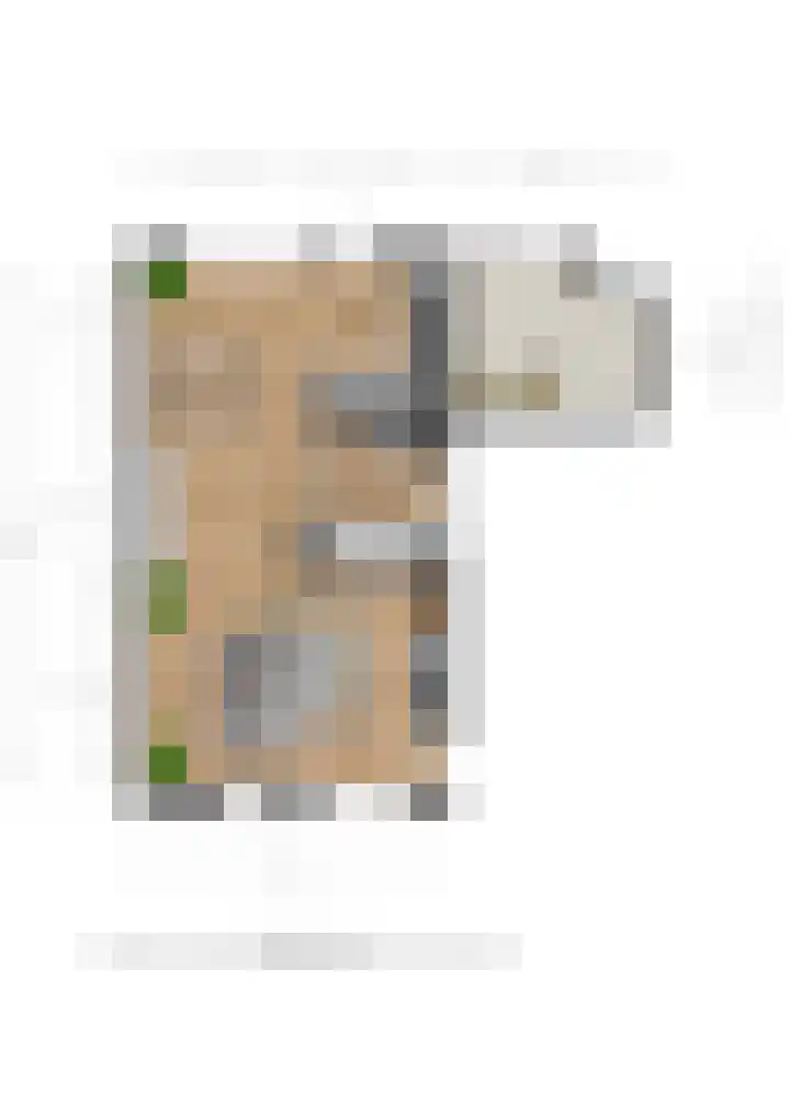 Dijkmanzoet 91 Tiel thumbnail 34