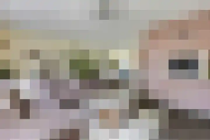Dijkmanzoet 91 Tiel thumbnail 8