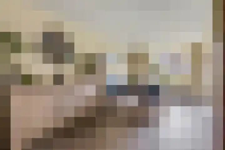 Dijkmanzoet 91 Tiel thumbnail 9