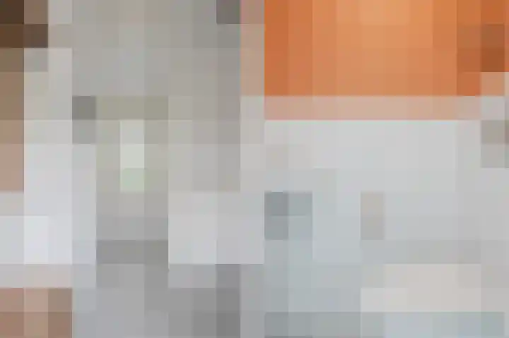 Dijkmate 2 Zutphen thumbnail 14