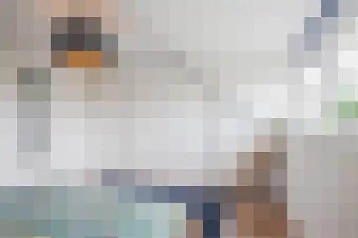 Dijkmate 2 Zutphen thumbnail 20