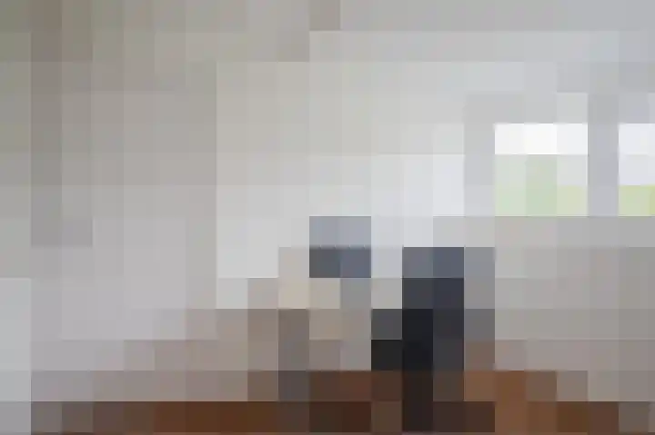 Dijkmate 2 Zutphen thumbnail 26