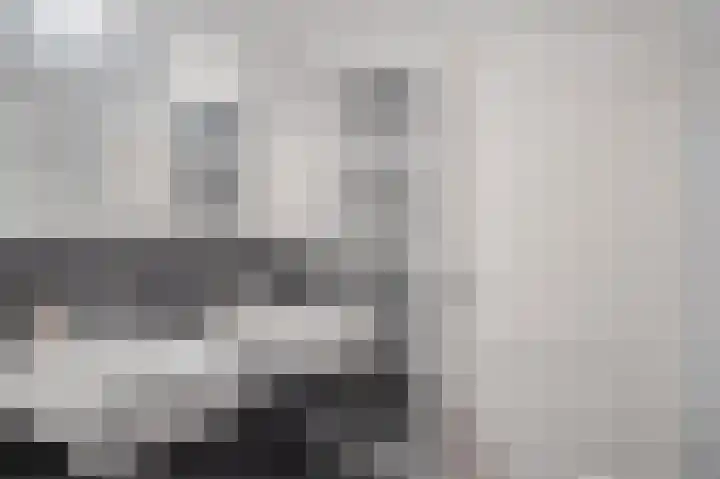 Dijkmate 2 Zutphen thumbnail 33
