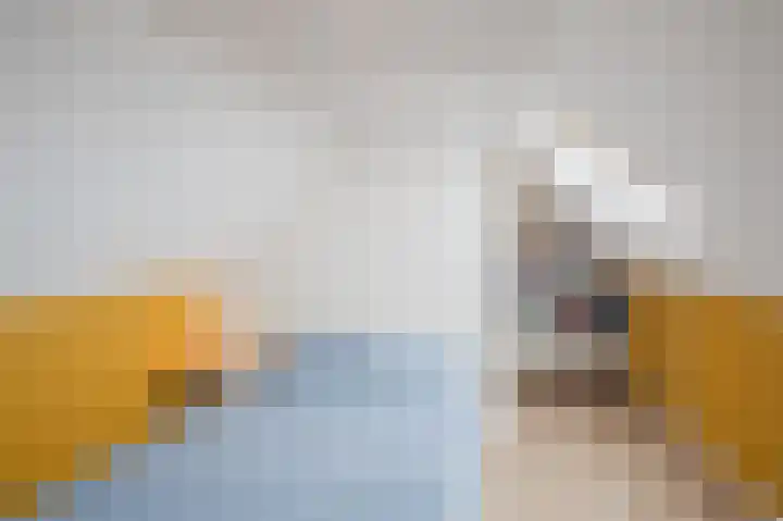 Dijkmate 2 Zutphen thumbnail 35