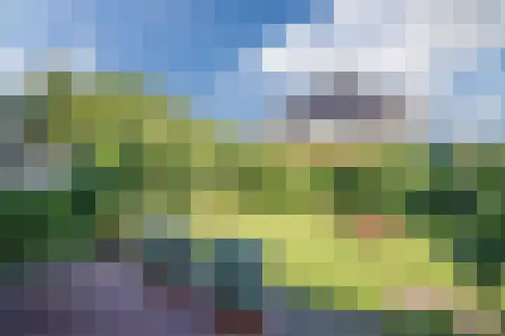 Dijkmate 2 Zutphen thumbnail 41
