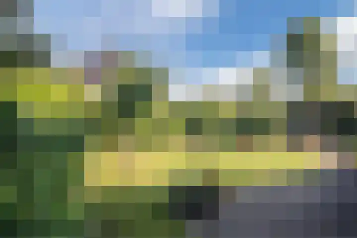 Dijkmate 2 Zutphen thumbnail 42
