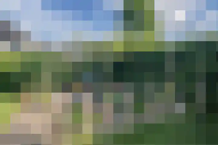 Dijkmate 2 Zutphen thumbnail 43