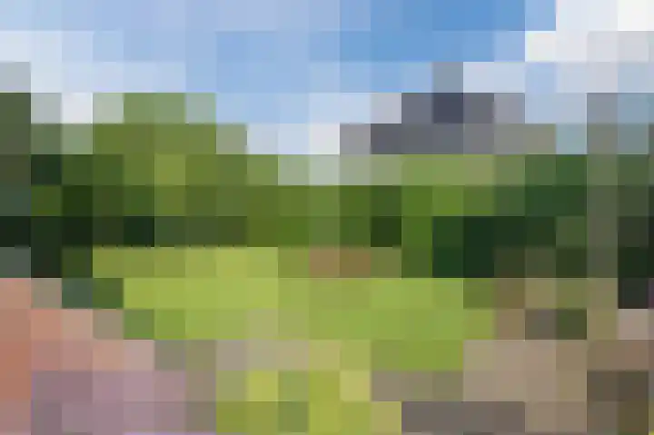 Dijkmate 2 Zutphen thumbnail 44