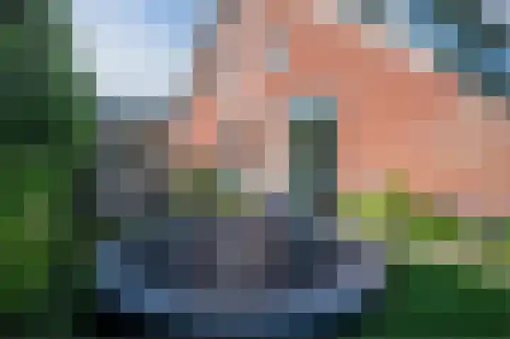 Dijkmate 2 Zutphen thumbnail 48