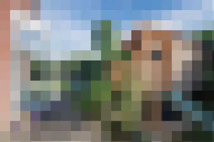 Dijkmate 2 Zutphen thumbnail 49