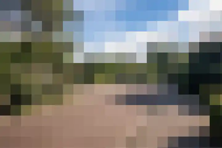 Dijkmate 2 Zutphen thumbnail 53