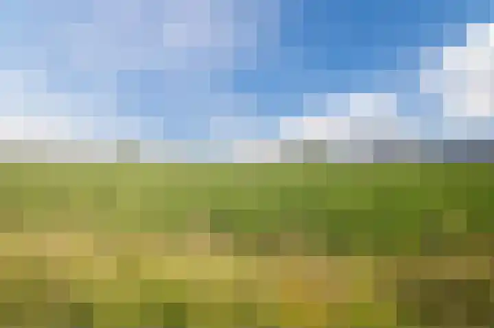 Dijkmate 2 Zutphen thumbnail 55