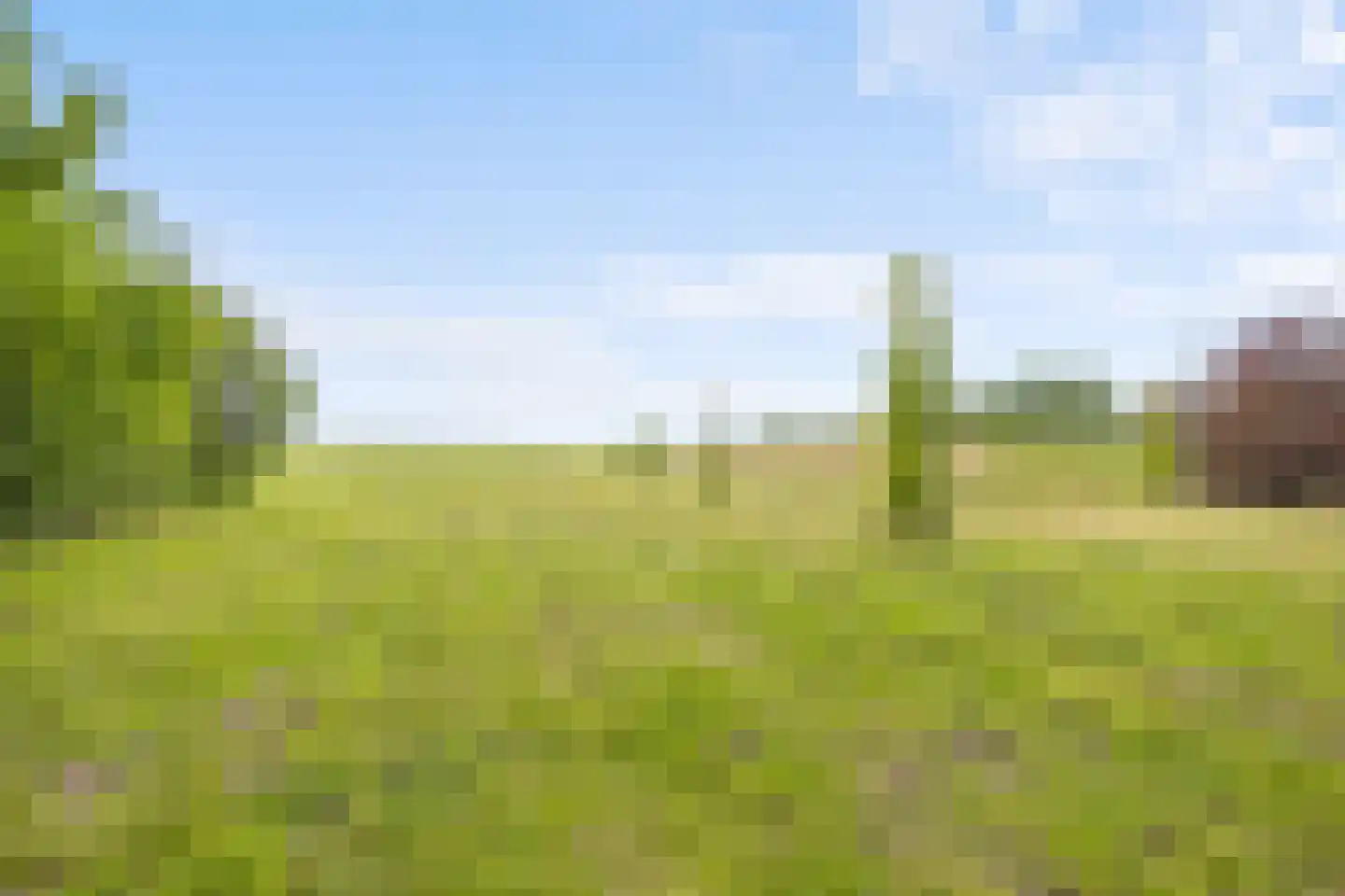 Dijkmeent 12 Almere thumbnail 37