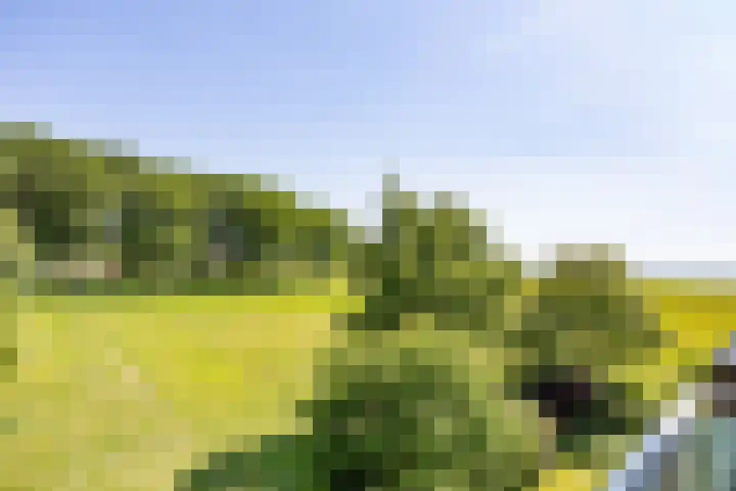 Dijkmeent 12 Almere thumbnail 8