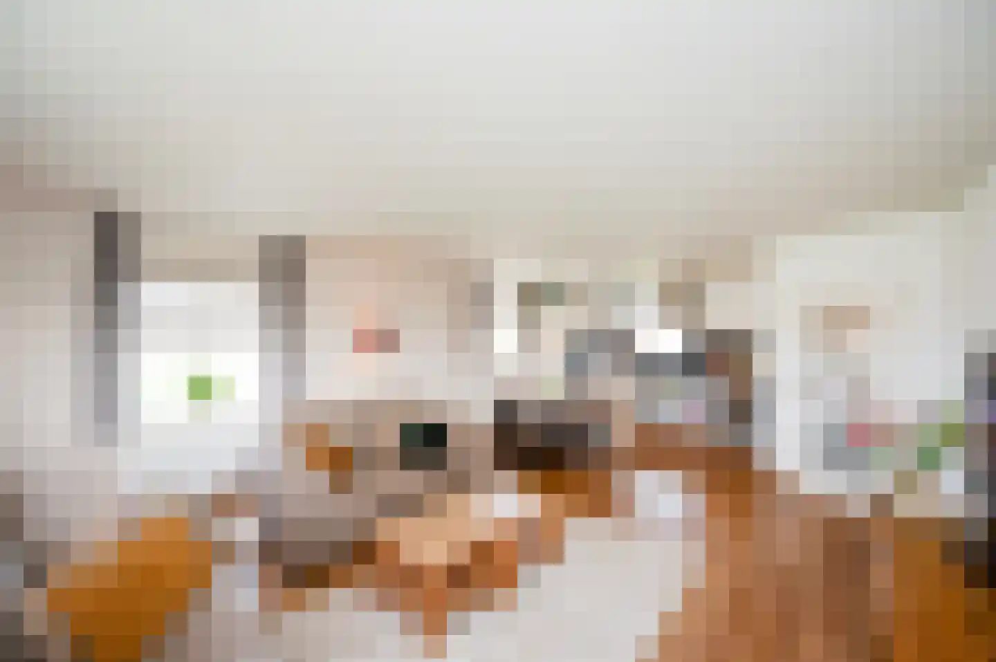 Dijkmeent 23 Almere thumbnail 4