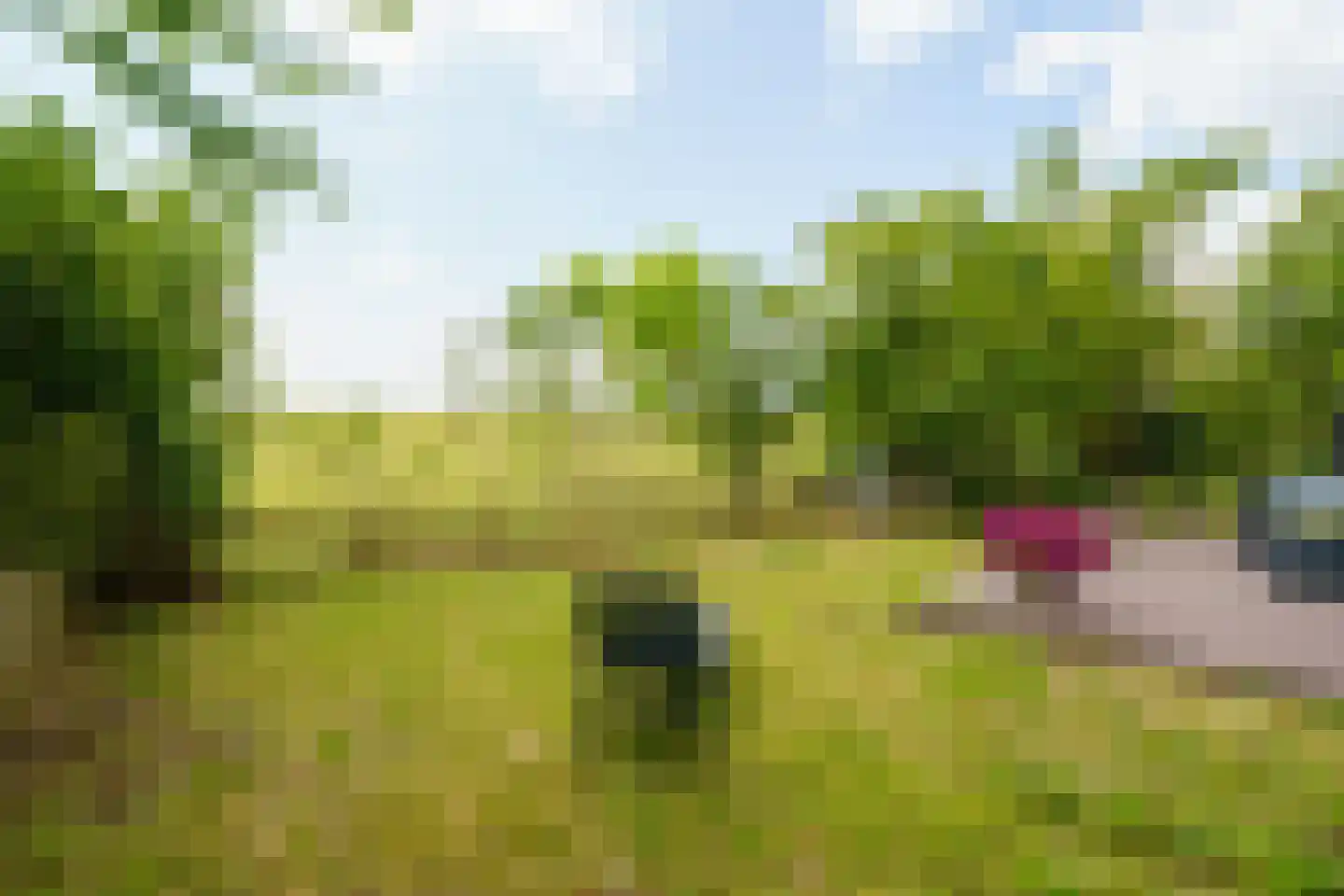 Dijkmeent 3 Almere thumbnail 27