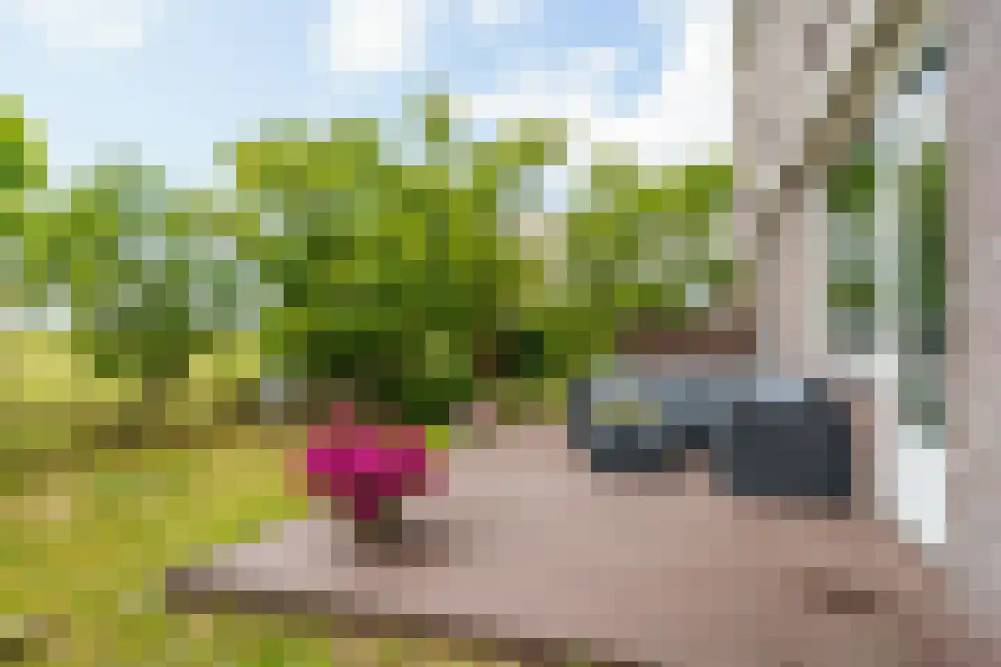Dijkmeent 3 Almere thumbnail 28