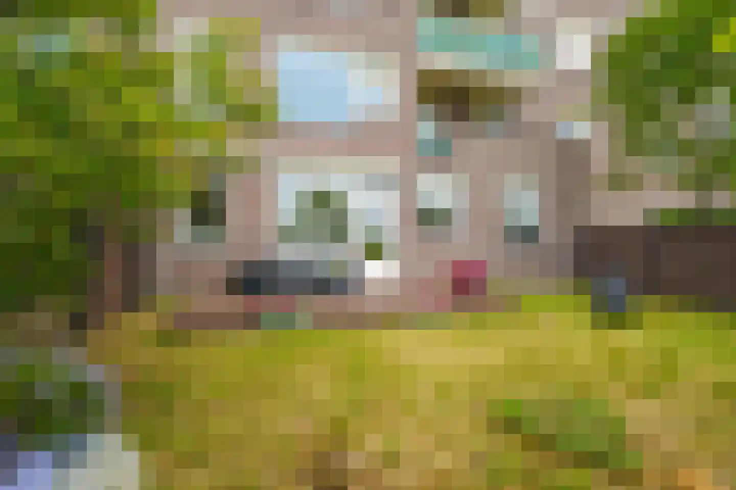 Dijkmeent 3 Almere thumbnail 29