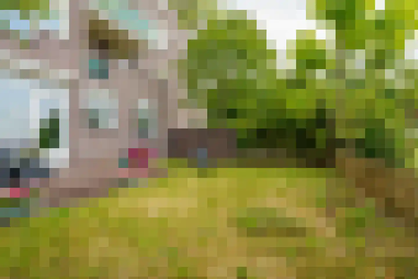 Dijkmeent 3 Almere thumbnail 30