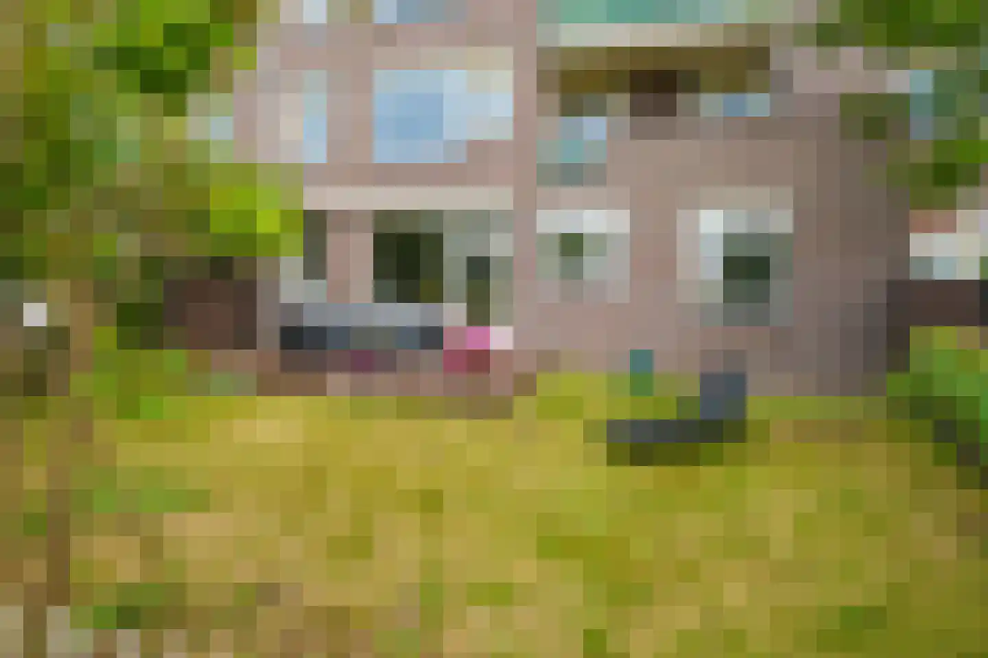 Dijkmeent 3 Almere thumbnail 32