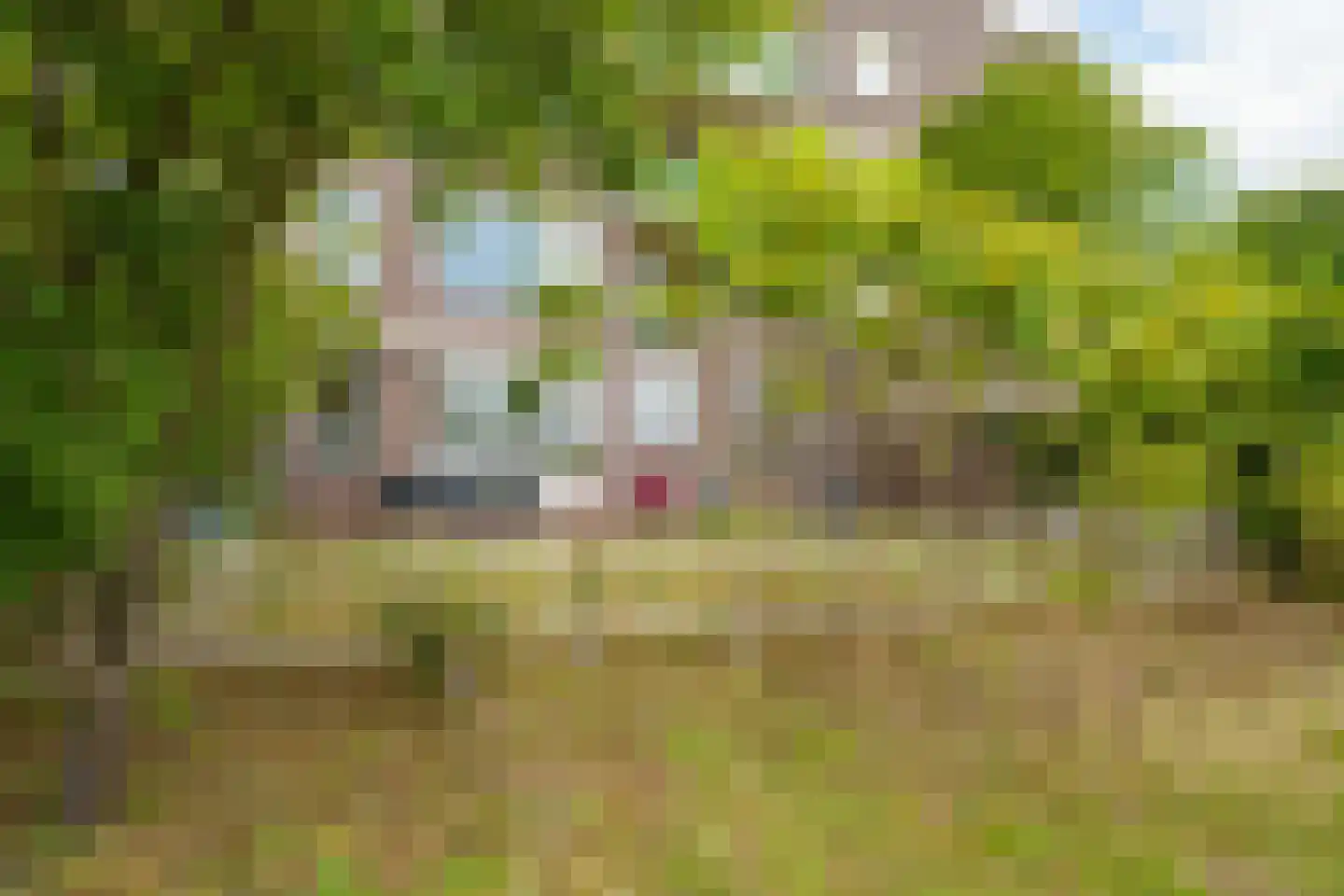 Dijkmeent 3 Almere thumbnail 33