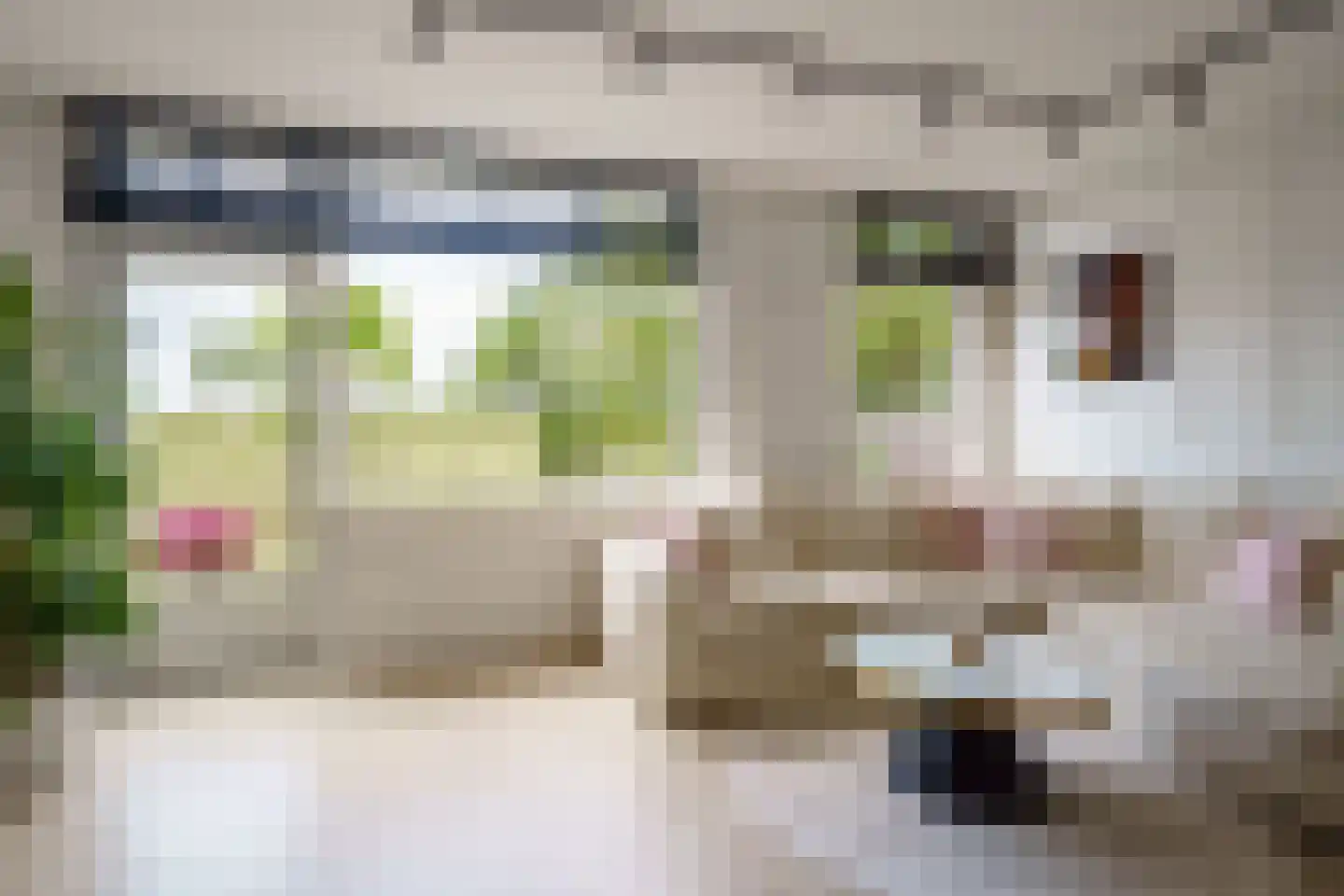 Dijkmeent 3 Almere thumbnail 4