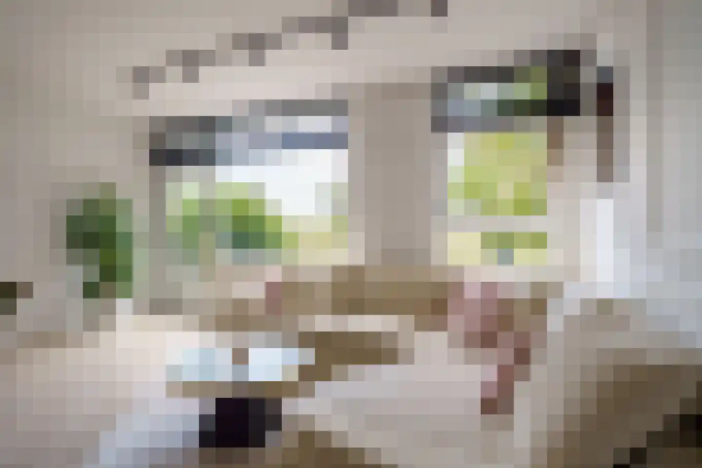 Dijkmeent 3 Almere thumbnail 5