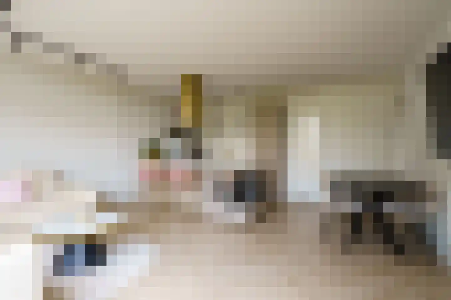 Dijkmeent 3 Almere thumbnail 6